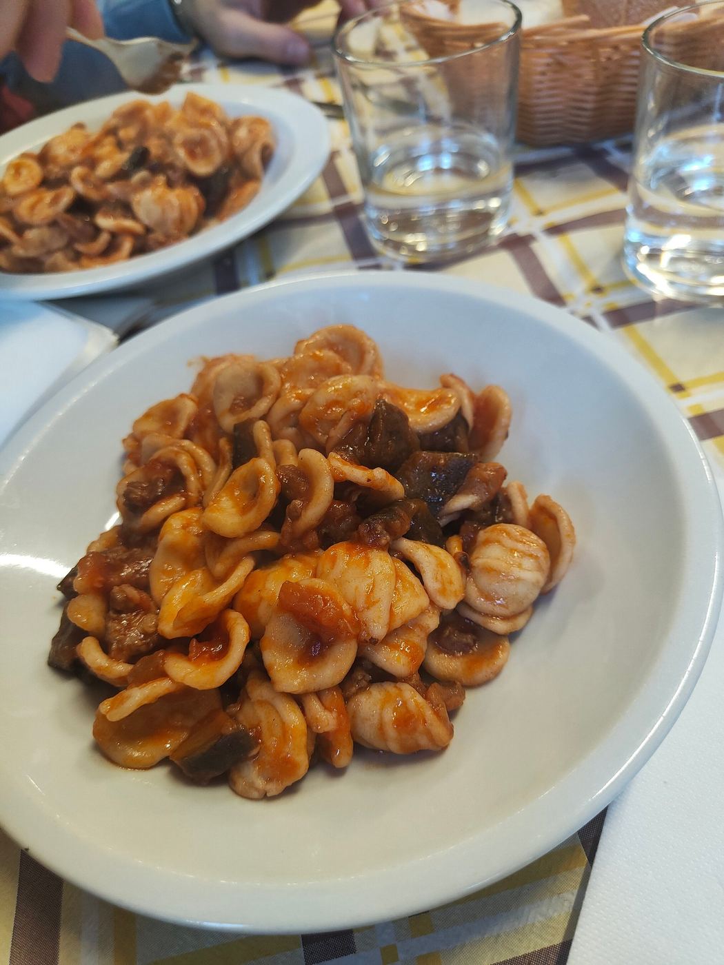 A plate of orecchiette in tomato sauce